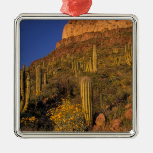 North America, USA, Arizona, Organ Pipe Cactus 2 Metal Tree Decoration