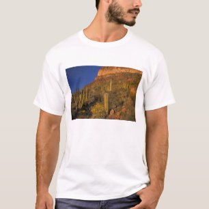 North America, USA, Arizona, Organ Pipe Cactus 2 T-Shirt