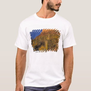 North America, USA, Arizona, Organ Pipe Cactus 2 T-Shirt