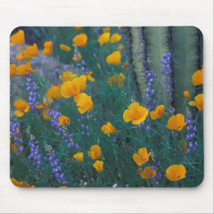 North America, USA, Arizona, Organ Pipe Cactus Mouse Mat