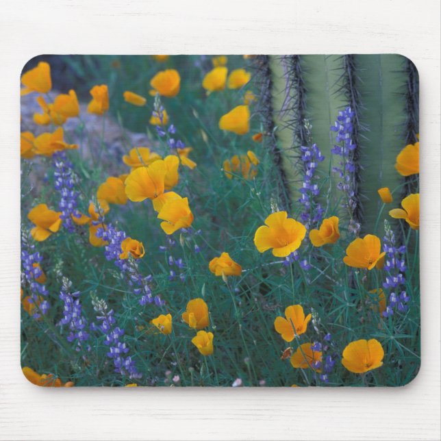 North America, USA, Arizona, Organ Pipe Cactus Mouse Mat (Front)