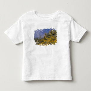 North America, USA, Arizona, Organ Pipe Cactus Toddler T-Shirt