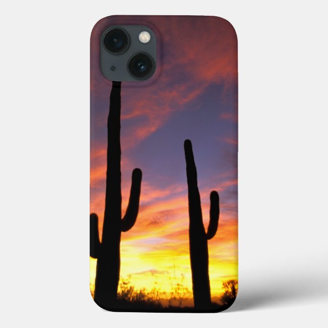 North America, USA, Arizona, Sonoran Desert. Case-Mate iPhone Case (Back)