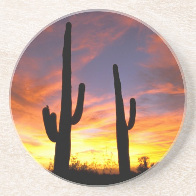 North America, USA, Arizona, Sonoran Desert. Coaster (Front)