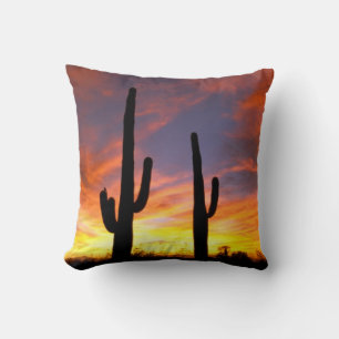 North America, USA, Arizona, Sonoran Desert. Cushion