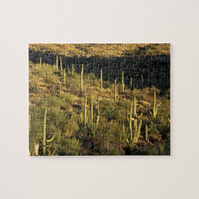 North America, USA, Arizona, Sonoran Desert Jigsaw Puzzle (Horizontal)