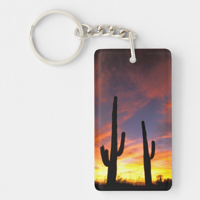 North America, USA, Arizona, Sonoran Desert. Key Ring (Front)