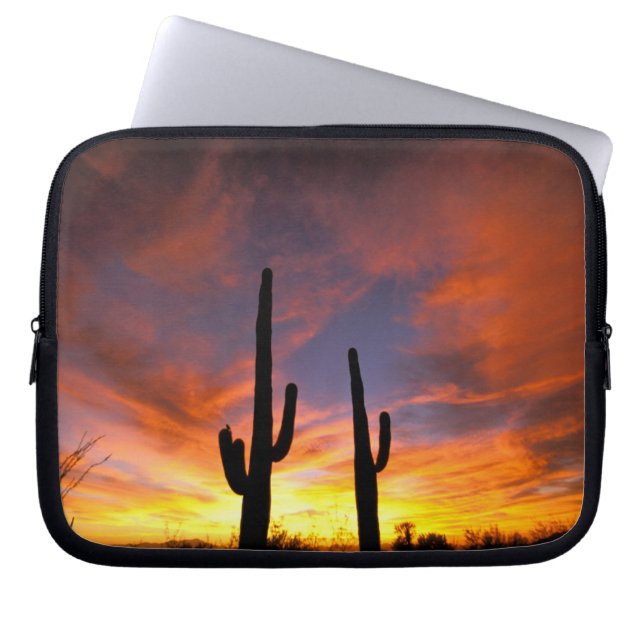 North America, USA, Arizona, Sonoran Desert. Laptop Sleeve (Front)
