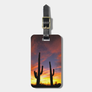 North America, USA, Arizona, Sonoran Desert. Luggage Tag