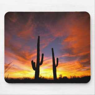 North America, USA, Arizona, Sonoran Desert. Mouse Mat