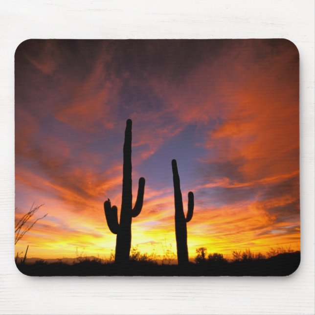 North America, USA, Arizona, Sonoran Desert. Mouse Mat (Front)