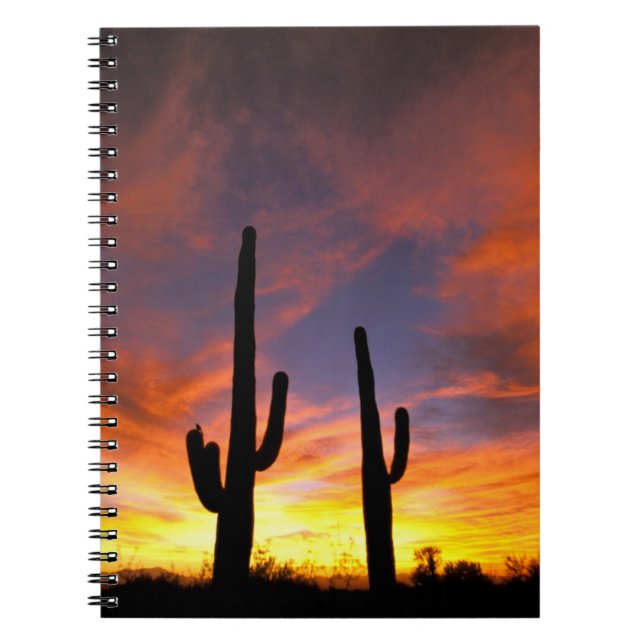 North America, USA, Arizona, Sonoran Desert. Notebook (Front)