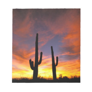 North America, USA, Arizona, Sonoran Desert. Notepad