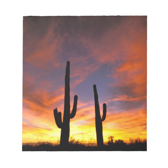 North America, USA, Arizona, Sonoran Desert. Notepad (Front)