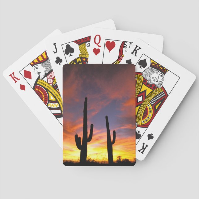North America, USA, Arizona, Sonoran Desert. Playing Cards (Back)