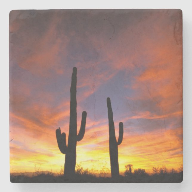 North America, USA, Arizona, Sonoran Desert. Stone Coaster (Front)