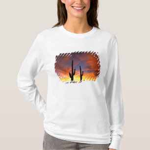 North America, USA, Arizona, Sonoran Desert. T-Shirt