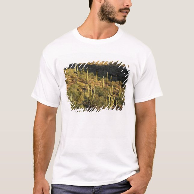 North America, USA, Arizona, Sonoran Desert T-Shirt (Front)