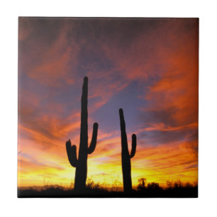 North America, USA, Arizona, Sonoran Desert Tile