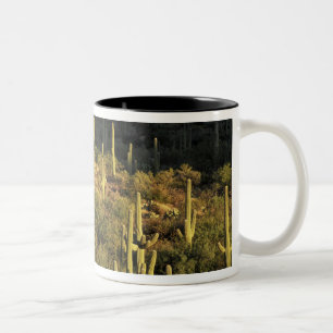 North America, USA, Arizona, Sonoran Desert Two-Tone Coffee Mug