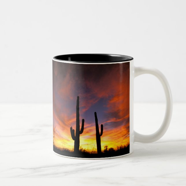 North America, USA, Arizona, Sonoran Desert. Two-Tone Coffee Mug (Right)