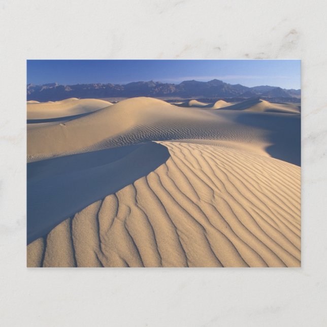 North America, USA, Califorinia, Death Valley 3 Postcard (Front)