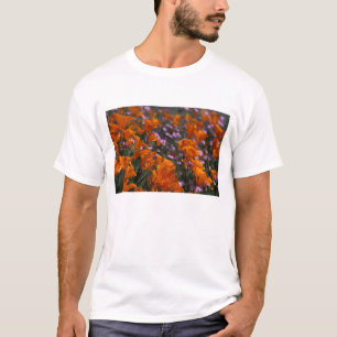 North America, USA, California, Antelope Valley, 2 T-Shirt