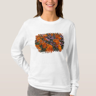 North America, USA, California, Antelope Valley, 2 T-Shirt