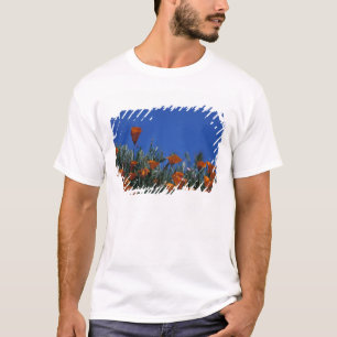North America, USA, California, Antelope Valley, 3 T-Shirt