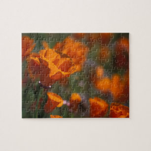 North America, USA, California, Antelope Valley, Jigsaw Puzzle