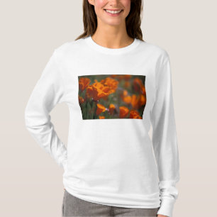 North America, USA, California, Antelope Valley, T-Shirt