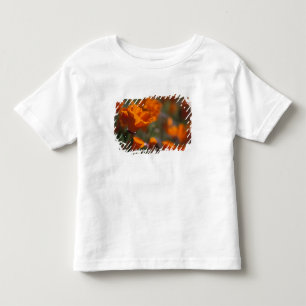 North America, USA, California, Antelope Valley, Toddler T-Shirt