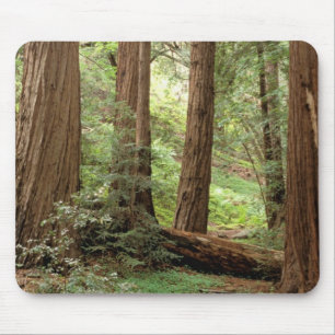 North America, USA, California, Big Sur, Mouse Mat