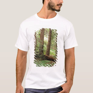 North America, USA, California, Big Sur, T-Shirt
