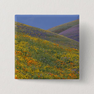 North America, USA, California, Los Angeles 15 Cm Square Badge