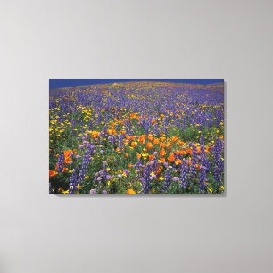 North America, USA, California, Los Angeles 2 Canvas Print