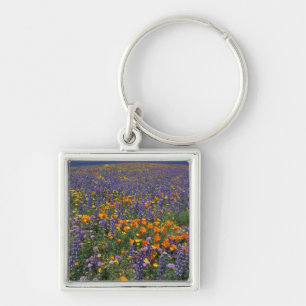 North America, USA, California, Los Angeles 2 Key Ring