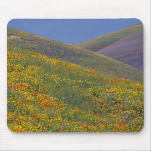 North America, USA, California, Los Angeles Mouse Mat