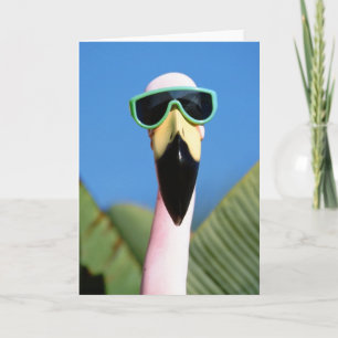 North America, USA, California, San Diego. Sea Card