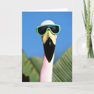 North America, USA, California, San Diego. Sea Card