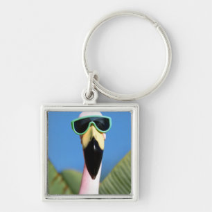 North America, USA, California, San Diego. Sea Key Ring