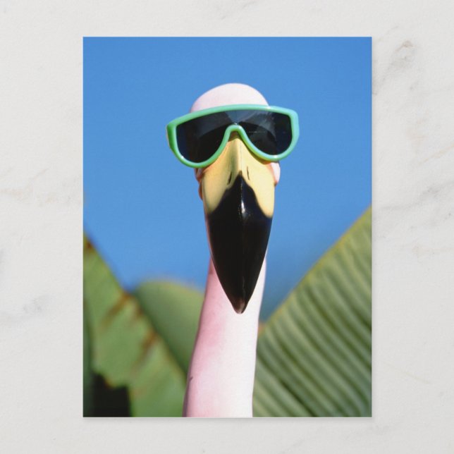 North America, USA, California, San Diego. Sea Postcard (Front)