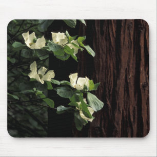 North America, USA, California, Yosemite 2 Mouse Mat
