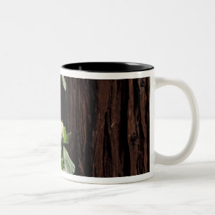 North America, USA, California, Yosemite 2 Two-Tone Coffee Mug