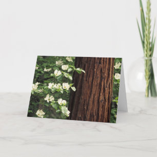 North America, USA, California, Yosemite 3 Card