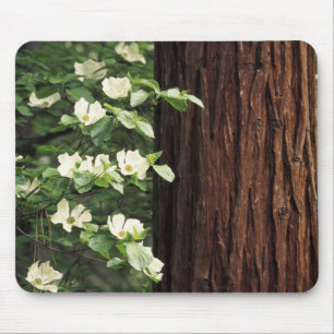 North America, USA, California, Yosemite 3 Mouse Mat