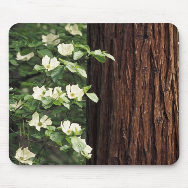 North America, USA, California, Yosemite 3 Mouse Mat (Front)