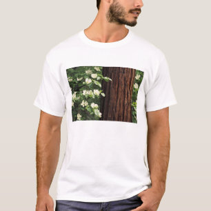 North America, USA, California, Yosemite 3 T-Shirt