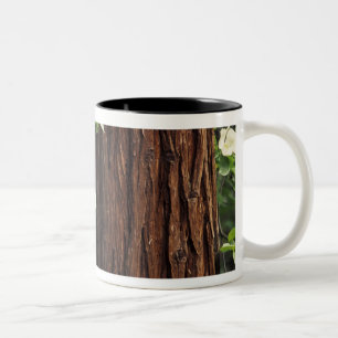 North America, USA, California, Yosemite 3 Two-Tone Coffee Mug