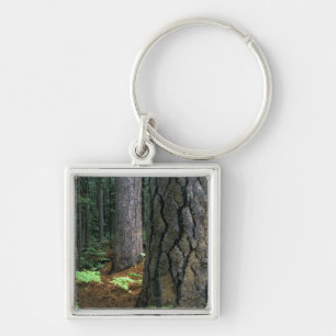 North America, USA, California, Yosemite Key Ring